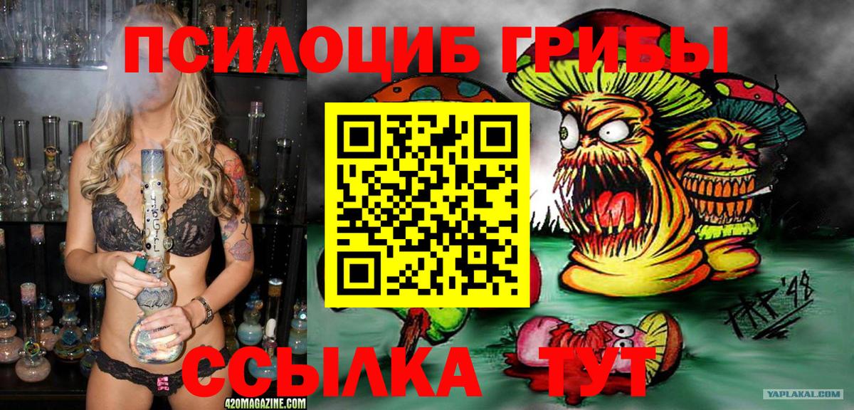 Тула  Псилоцибиновые грибы Psilocybe  Вход с VPN  Галлюциногенные грибы GOLDEN TEACHER 
